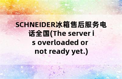 SCHNEIDER冰箱售后服务电话全国(The server is overloaded or not ready yet.)